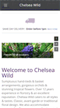 Mobile Screenshot of chelseawild.com